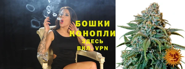 индика Вязьма