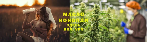 индика Вязьма