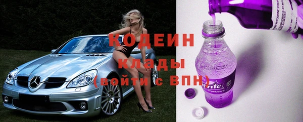 индика Вязьма