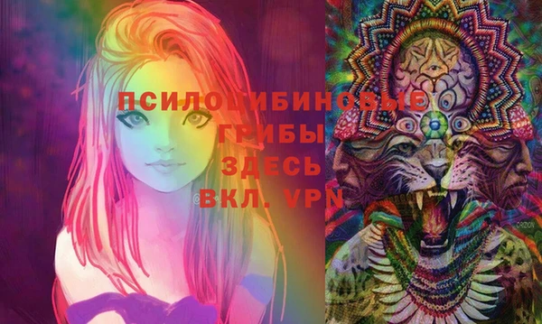 ГАЛЛЮЦИНОГЕННЫЕ ГРИБЫ Вяземский